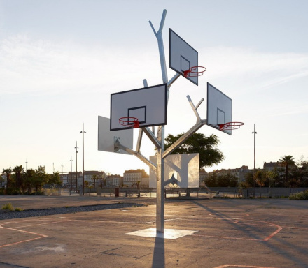 arbre-basket-2.jpg